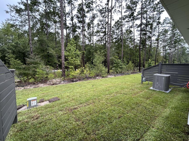 Exterior details and patio area of a home in Hammock Walk at Nexton, Summerville (Image 3). Exterior details and patio area of a home in Hammock Walk at Nexton, Summerville (Image 3).