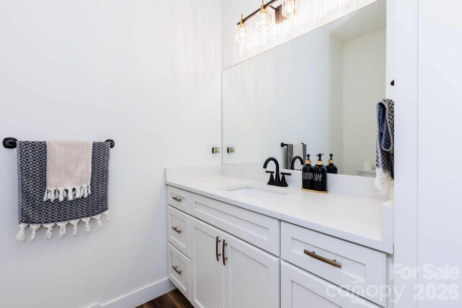 Lower Level Bathroom