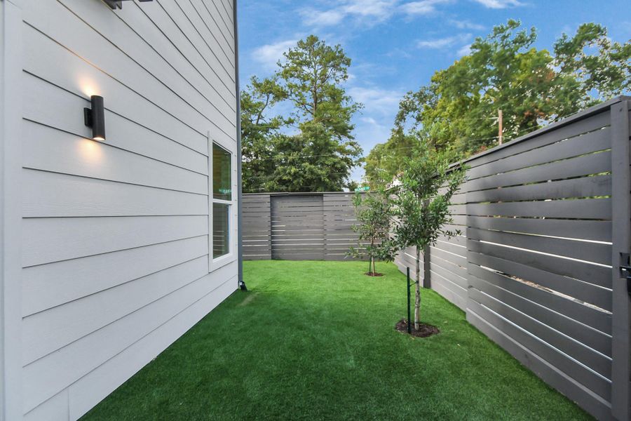 turf in back yard turf in back yard