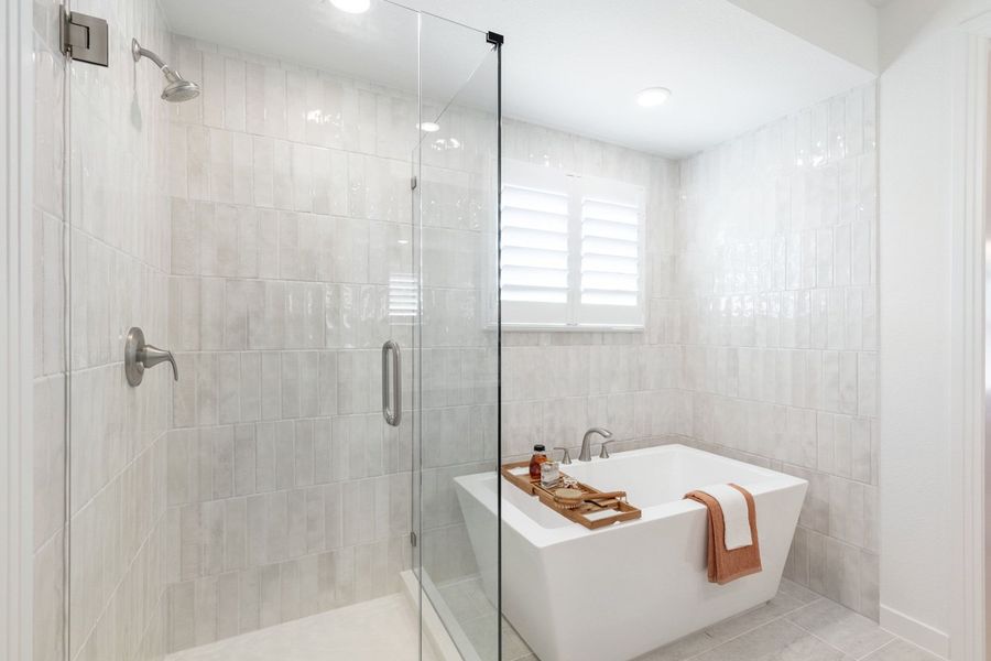 Representative Primary Bathroom - some options shown