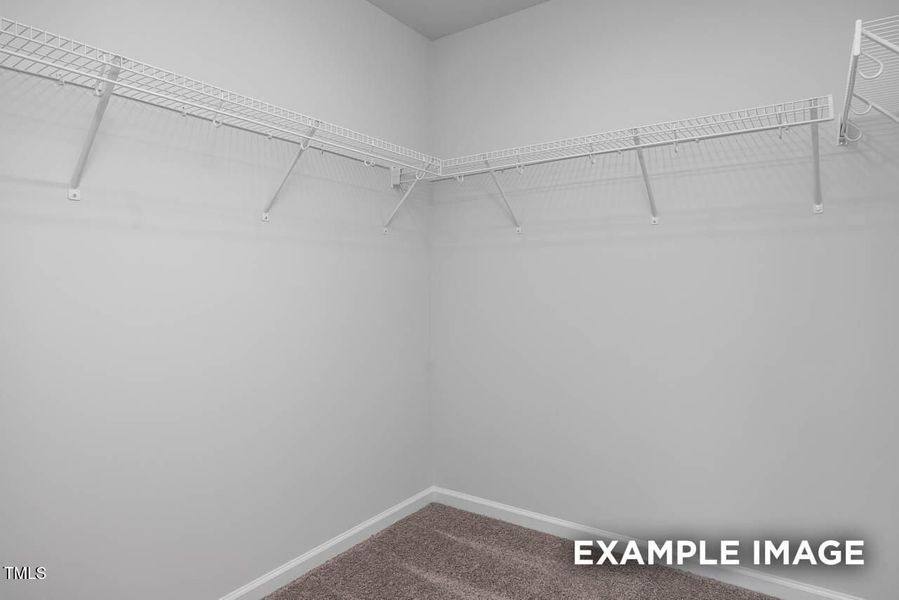 Spacious, unfurnished interior of a new home in Springvale, Fuquay Varina (Image 36).