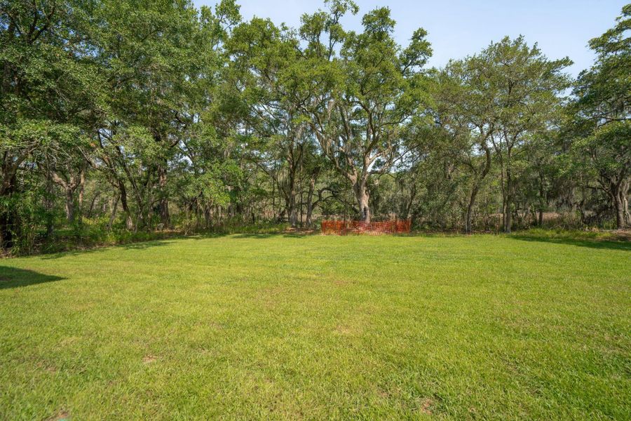 Natural landscape and outdoor views near  in Johns Island (Image 66).