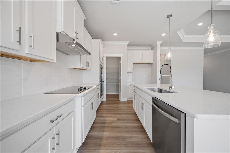 Furnished interior view inside a new home in Garland Meadows, Cartersville (Image 9).