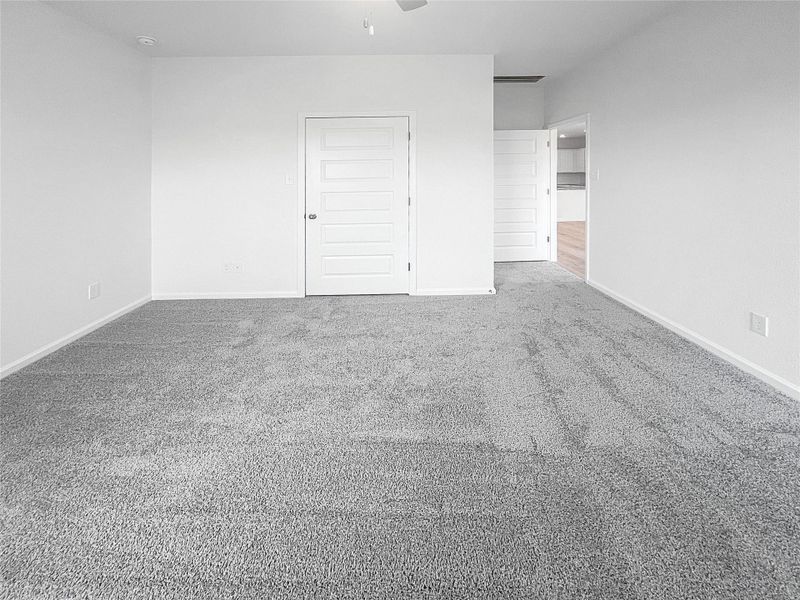 The Piedmont- Primary Suite