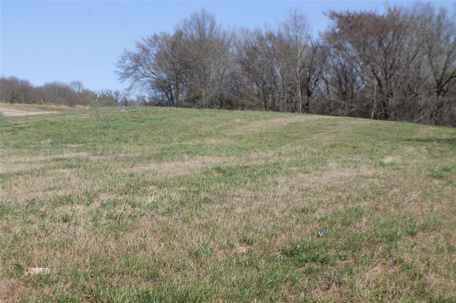 Natural landscape and outdoor views near  in Athens (Image 9).