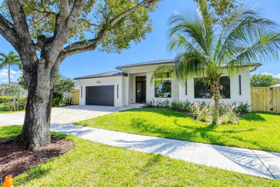 front yard front yard