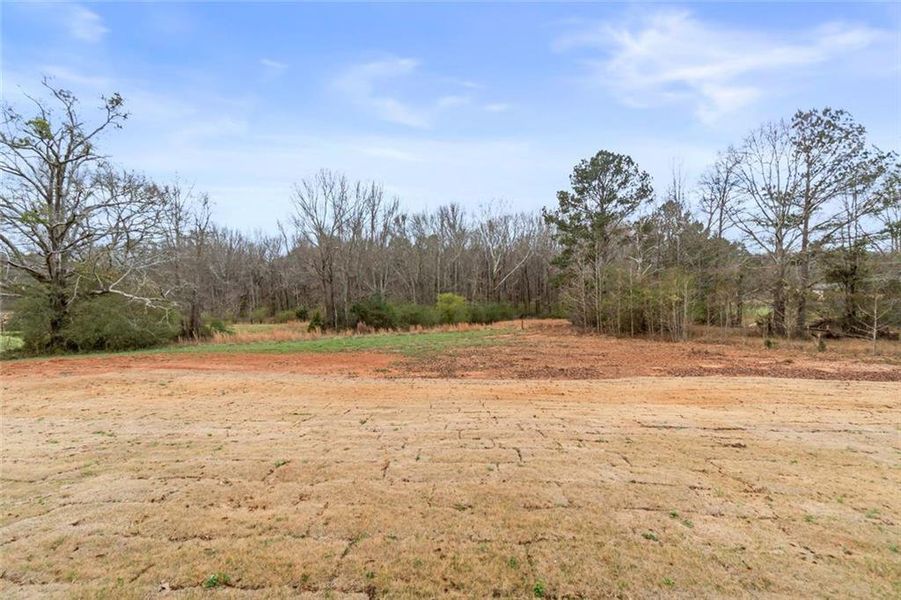 Site preparation for new homesites in , Social Circle (Image 61).