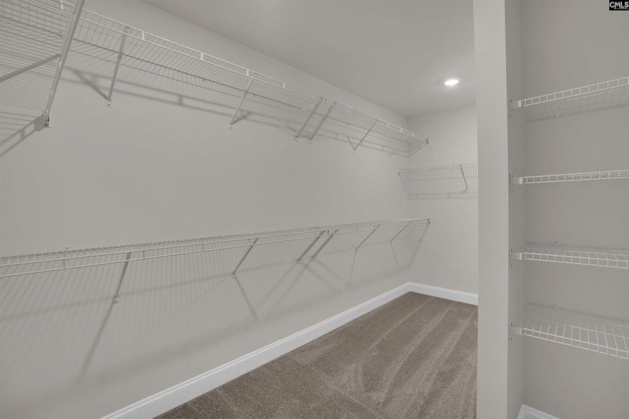 Spacious, unfurnished interior of a new home in Boykin Hills, Chapin (Image 22).