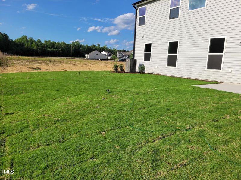 EF 31 Backyard 5-18 EF 31 Backyard 5-18