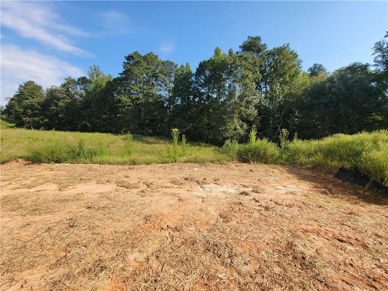 Image 26 of a home in The Estates at Casteel.