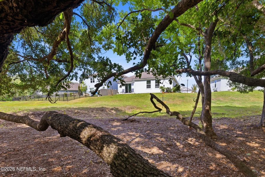 Natural landscape and outdoor views near  in St. Augustine (Image 63).