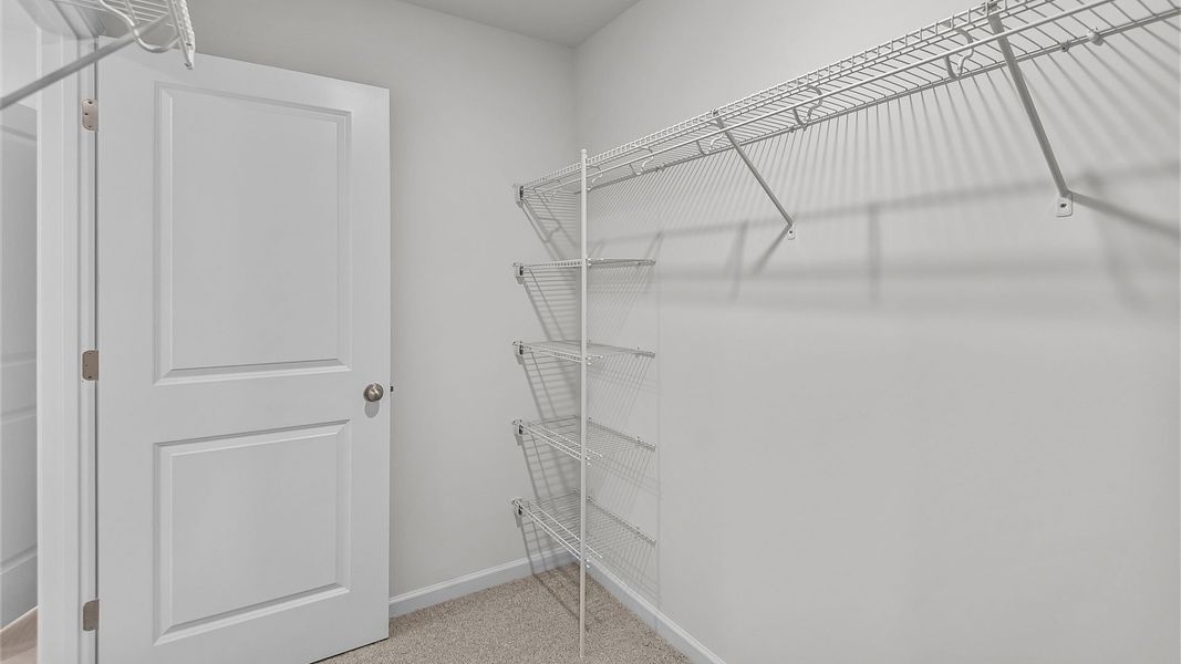 Spacious, unfurnished interior of a new home in Hunter Hill, Rocky Mount (Image 18).