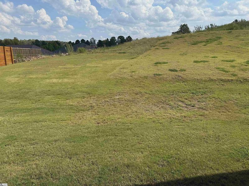 Natural landscape and outdoor views near Bracken Woods in Piedmont (Image 22).