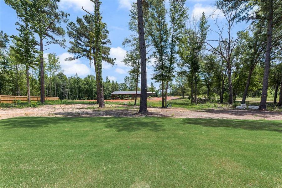 Expansive green lawn with mature trees and a distant covered structure