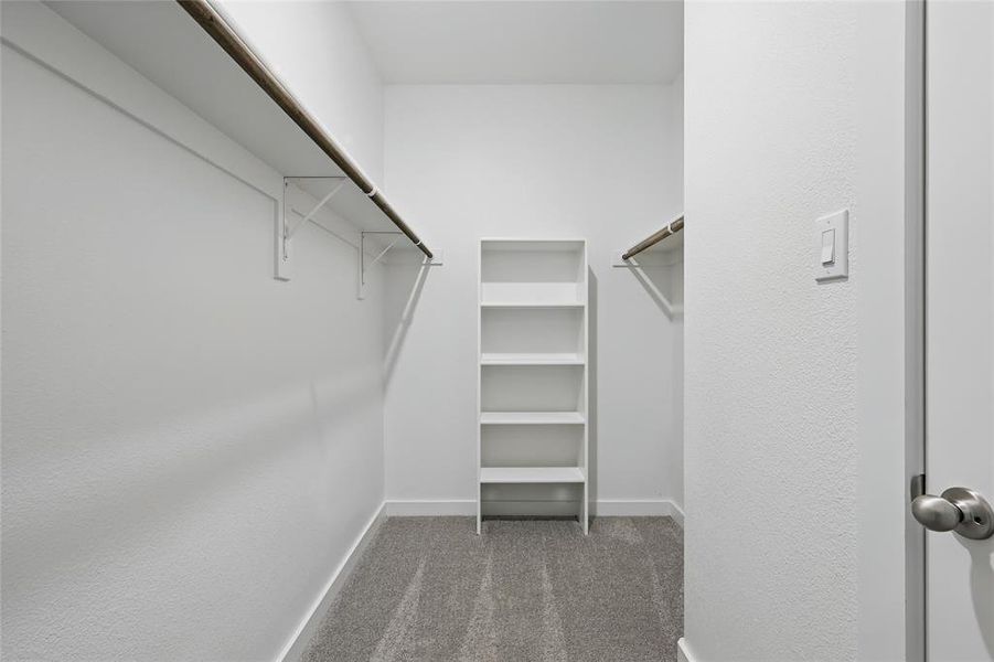 Walk in closet featuring carpet flooring Walk in closet featuring carpet flooring