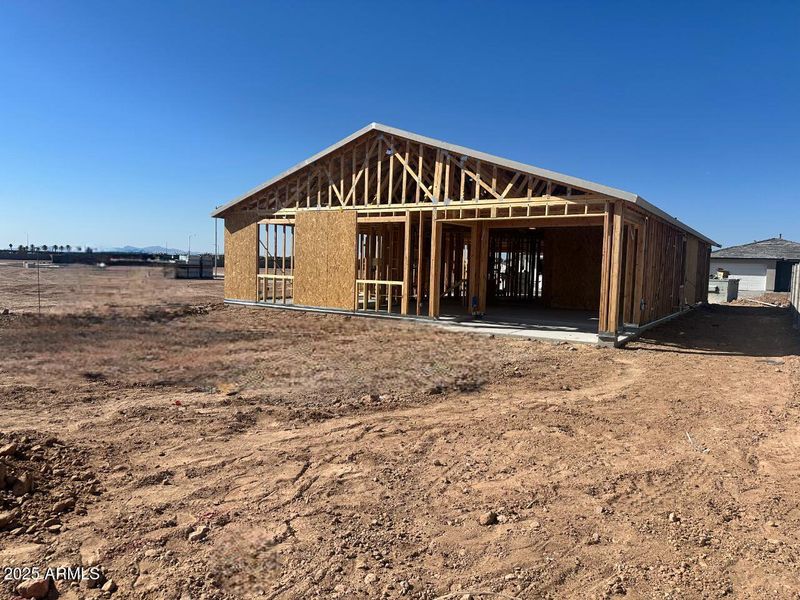 0012_ Backyard 0012_ Backyard