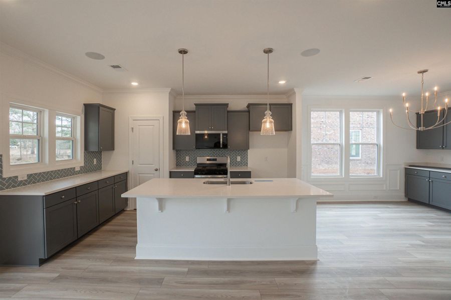 Furnished interior view inside a new home in Beach Forest, Sumter (Image 7). Furnished interior view inside a new home in Beach Forest, Sumter (Image 7).