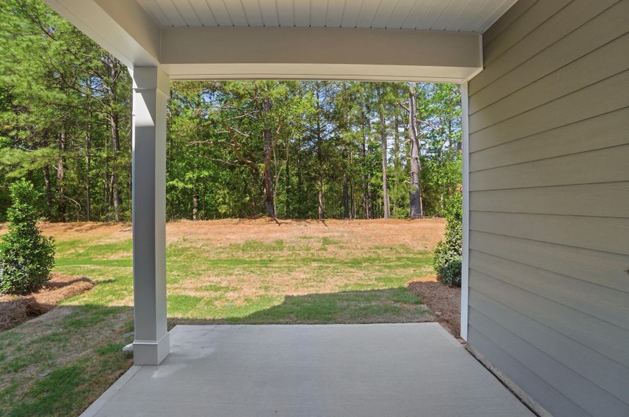 Exterior details and patio area of a home in Blythe Mill Townhomes, Waxhaw (Image 3).