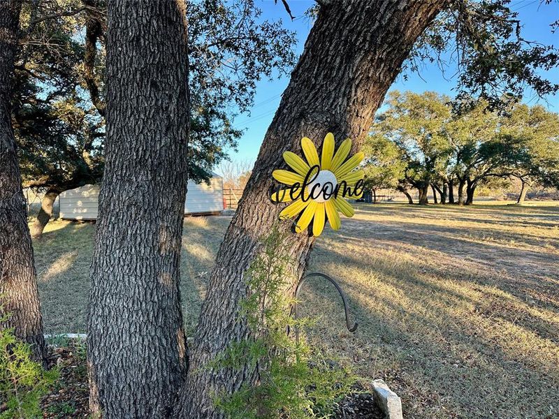 Natural landscape and outdoor views near in Zephyr (Image 25). Natural landscape and outdoor views near in Zephyr (Image 25).