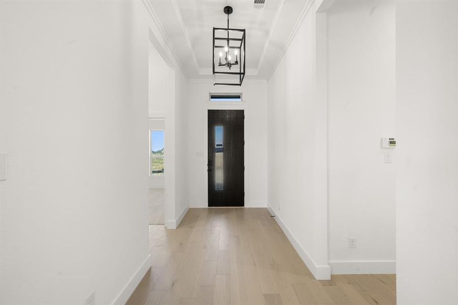 1228 Dolly High Res- Entry-1