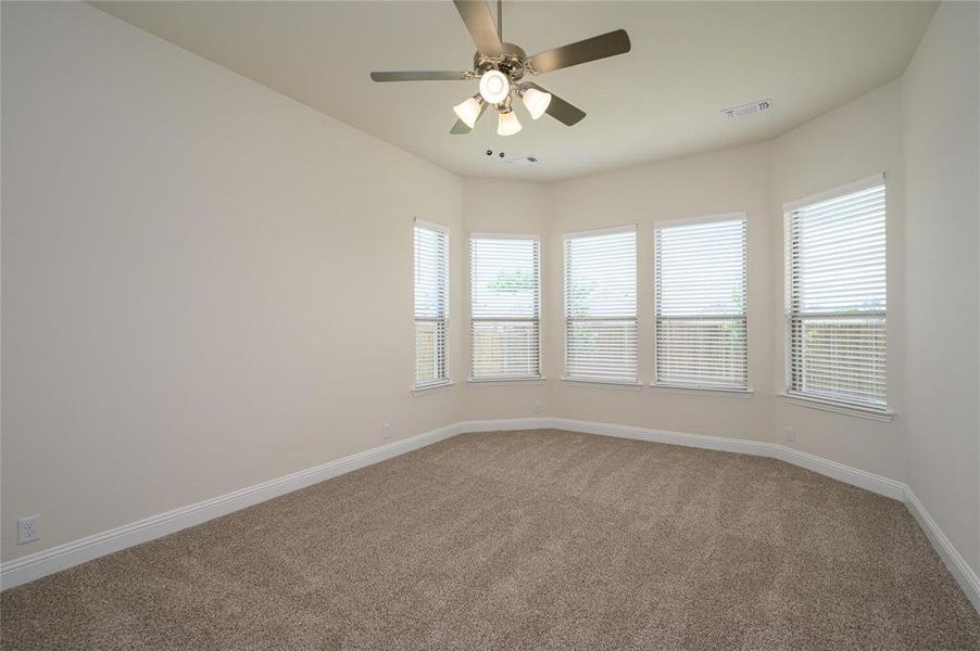 Unfurnished room featuring carpet flooring, a healthy amount of sunlight, and ceiling fan