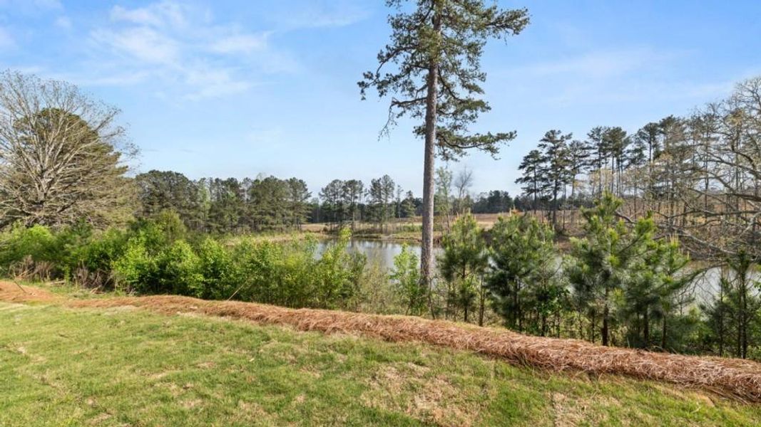 Natural landscape and outdoor views near Thompson Ridge in Dallas (Image 31).