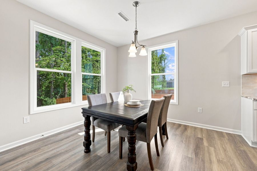 Representative furnished interior of a home built from the The Concerto by Chesapeake Homes in Highgate, Clayton (Image 12).