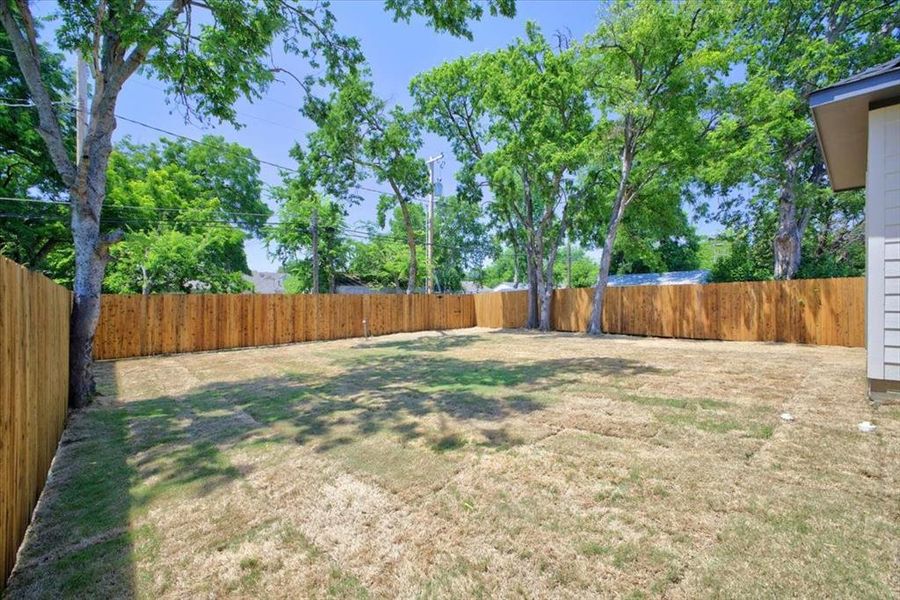 Spacious backyard with a wood privacy fence and mature trees Spacious backyard with a wood privacy fence and mature trees