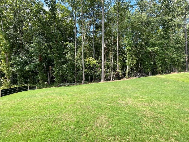 Natural landscape and outdoor views near Summerlin in Winder (Image 49).