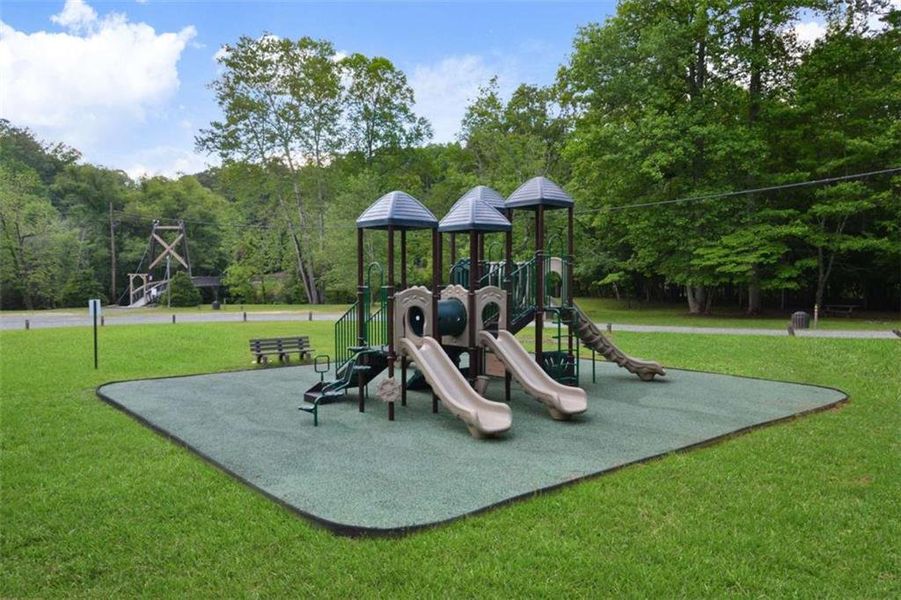 Community amenities in , Ellijay (Image 35).
