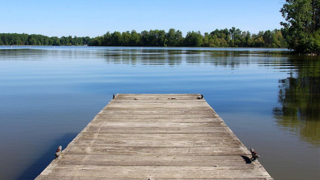 Natural landscape and outdoor views near Riverside Estates in Baytown (Image 25).