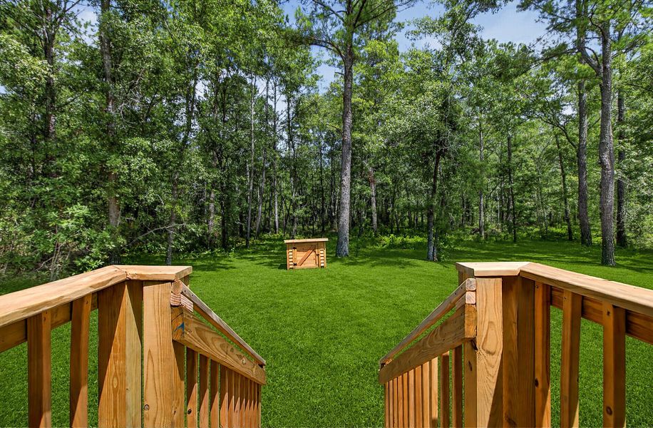 Natural landscape and outdoor views near  in Walterboro (Image 25).