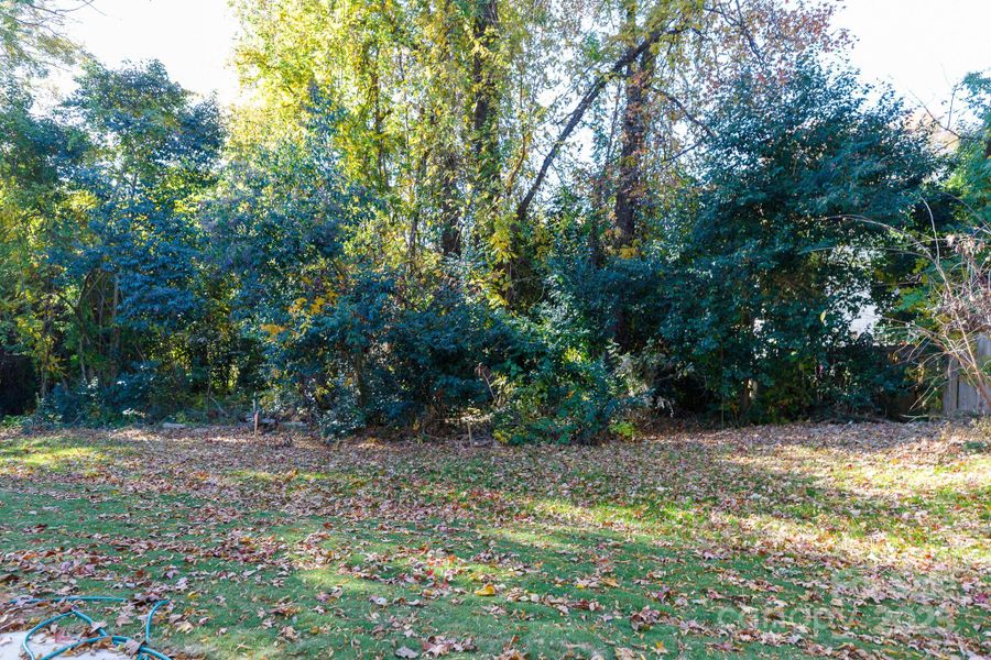 Natural landscape and outdoor views near  in Charlotte (Image 22).