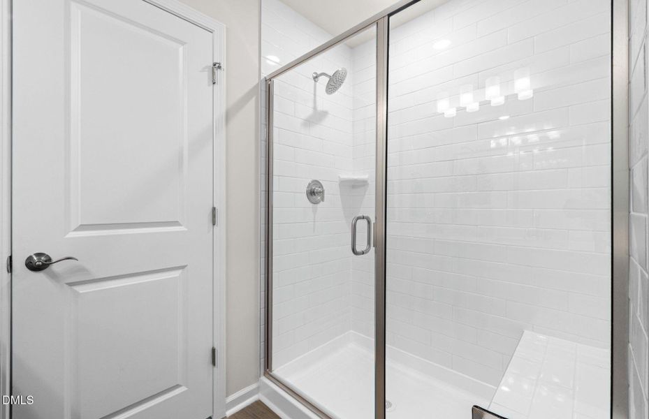 oriole (14) oriole (14)