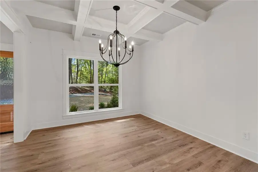 Spacious, unfurnished interior of a new home in , Dahlonega (Image 67).
