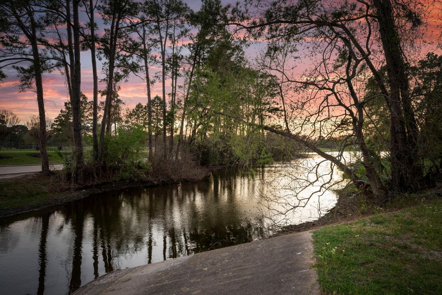 Natural landscape and outdoor views near  in The Woodlands (Image 46).