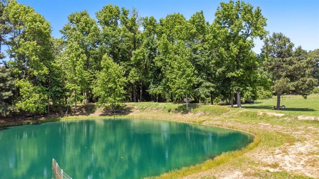 Natural landscape and outdoor views near  in Winona (Image 25).