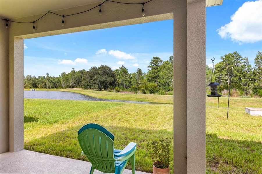 Exterior details and patio area of a home in Deerbrook, Land O' Lakes (Image 26).