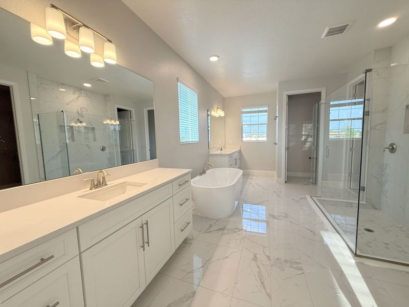 Tradewinds Representational Tradewinds Representational