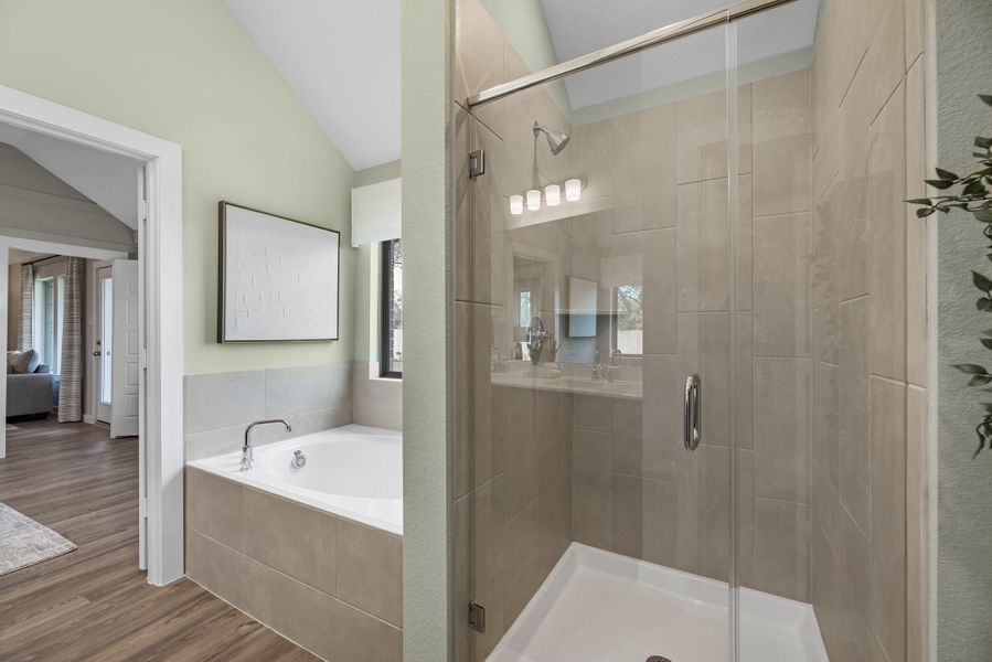 Owner's Bathroom