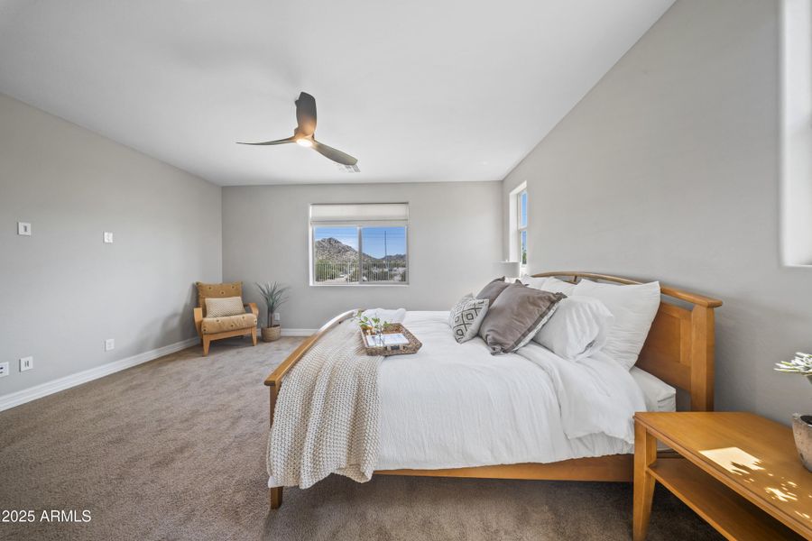 Mountain Views from Master