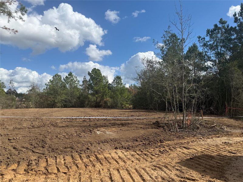 Example of a beautiful lot in the scetion