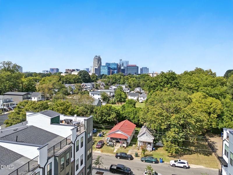Downtown Raleigh from Green Space