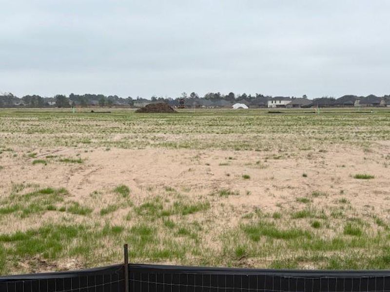 Site preparation for new homesites in , Pearland (Image 4).