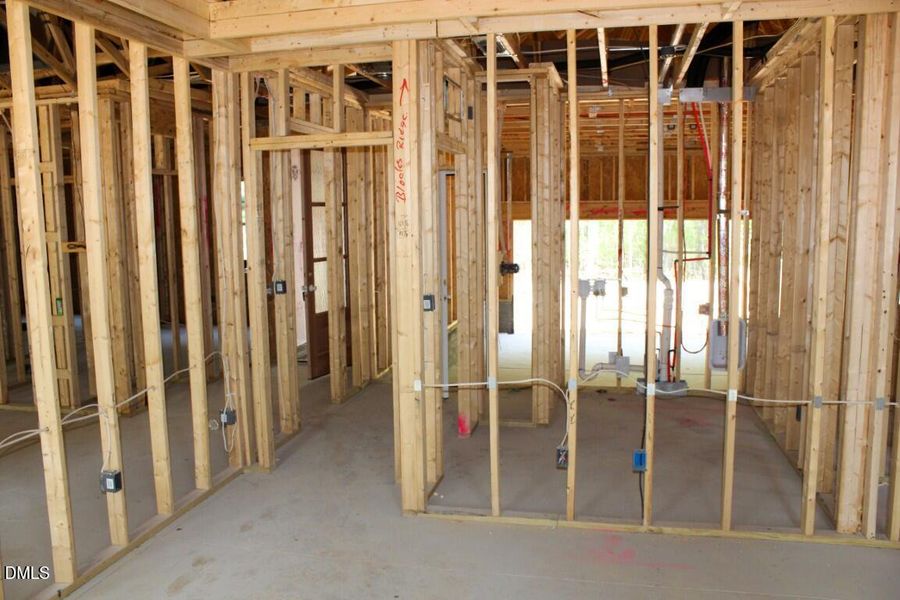 IMG_7546 (Medium) IMG_7546 (Medium)