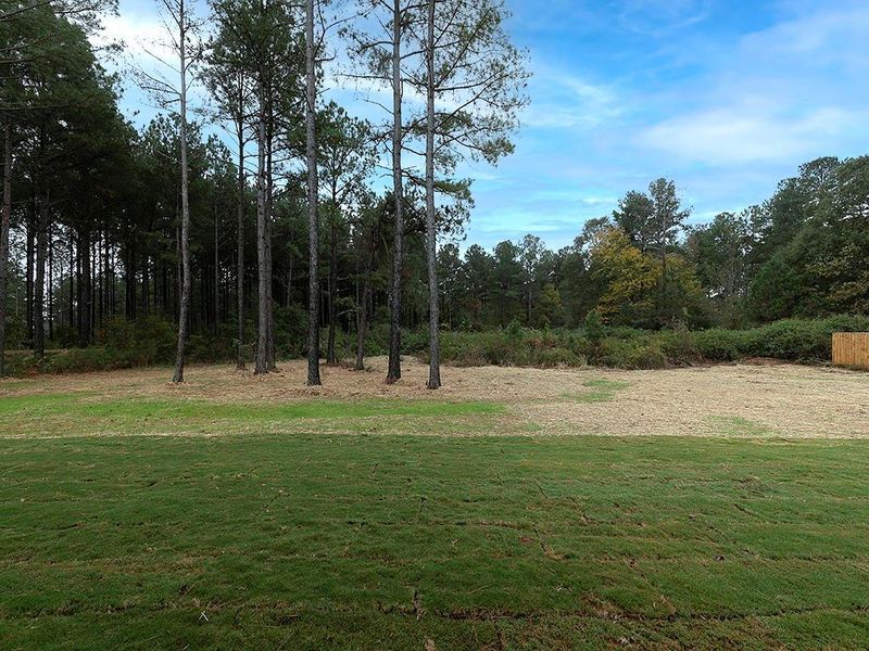 Natural landscape and outdoor views near  in Dallas (Image 34).