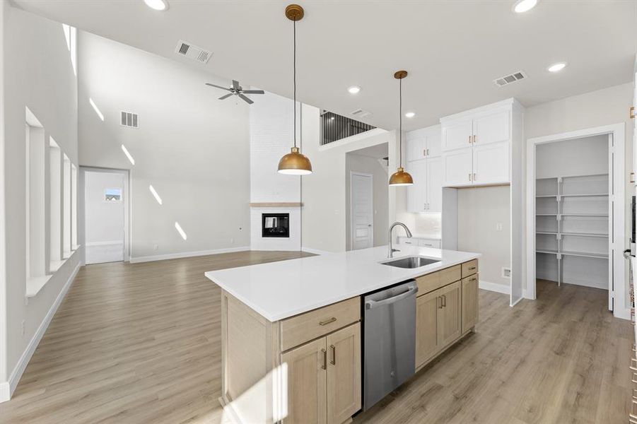 13. 2317 Cottonbelt - Kitchen (3)