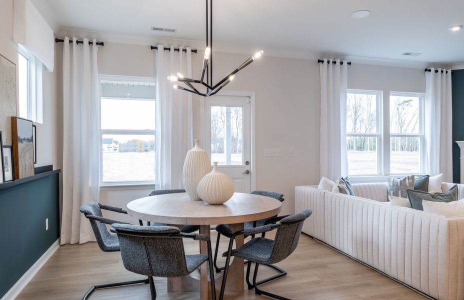 Furnished interior view inside a new home in Stewarts Landing, Charlotte (Image 4).