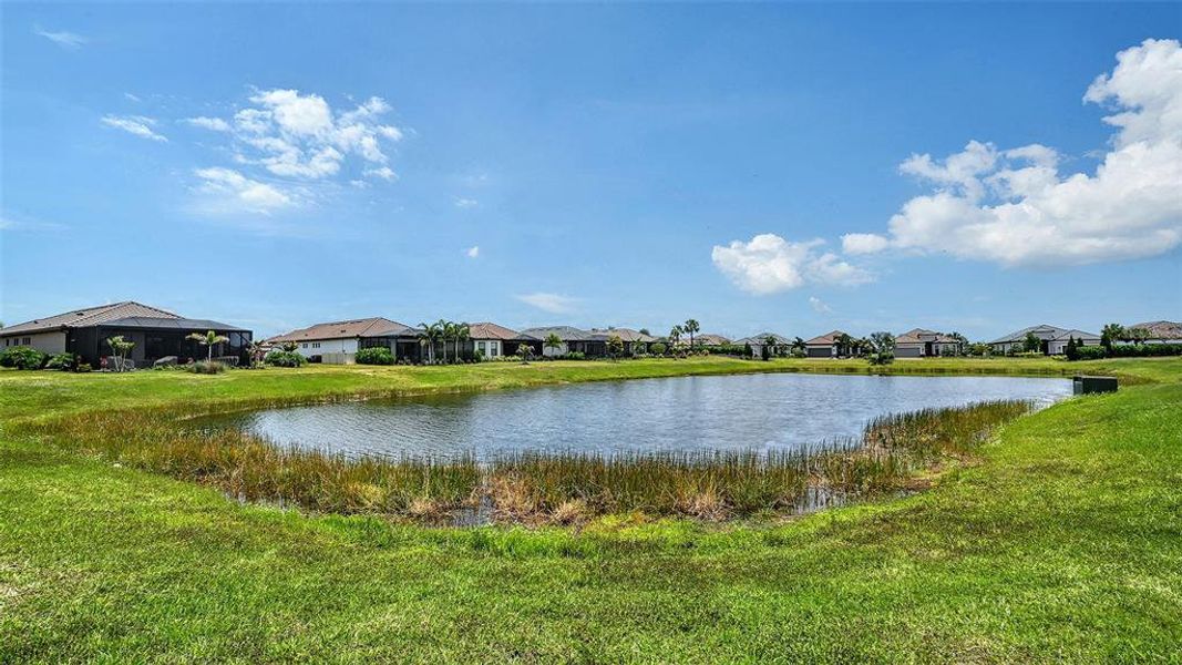 Natural landscape and outdoor views near  in Bradenton (Image 81).