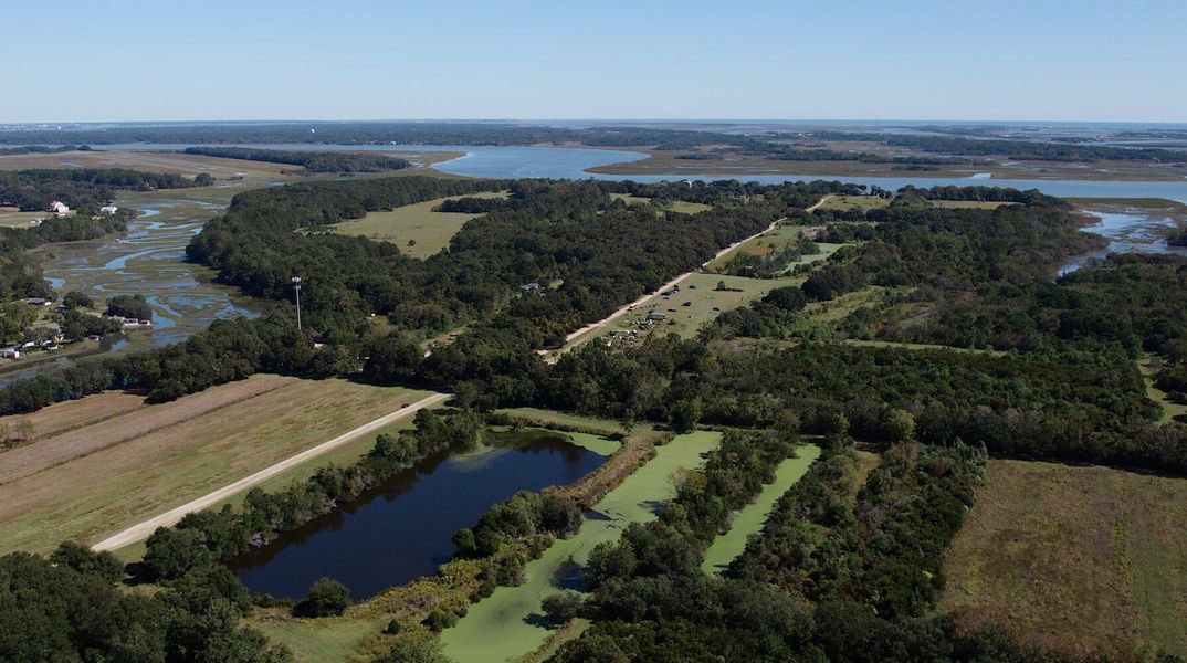 Natural landscape and outdoor views near Rhetts Cove in Johns Island (Image 31).